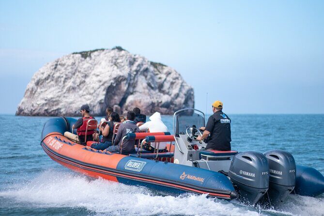 Munba Ballena Tour by Power Boat - Key Points
