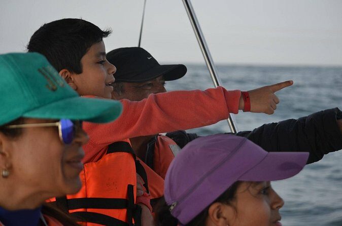 Munba Ballena Tour by Power Boat - The Sum Up