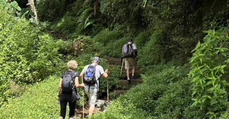 Munduk/Bali: Jungle Trek, Canoe, Waterfall & Cycling - Key Points
