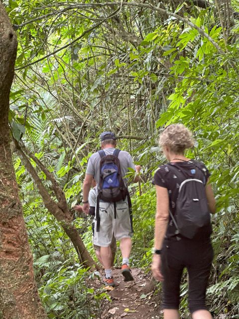 Munduk/Bali: Jungle Trek, Canoe, Waterfall & Cycling - Itinerary Details