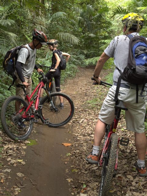 Munduk/Bali: Jungle Trek, Canoe, Waterfall & Cycling - Highlights and Experiences