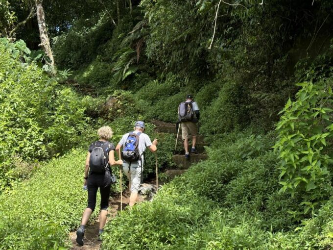 Munduk/Bali: Jungle Trek, Canoe, Waterfall & Cycling - What to Bring