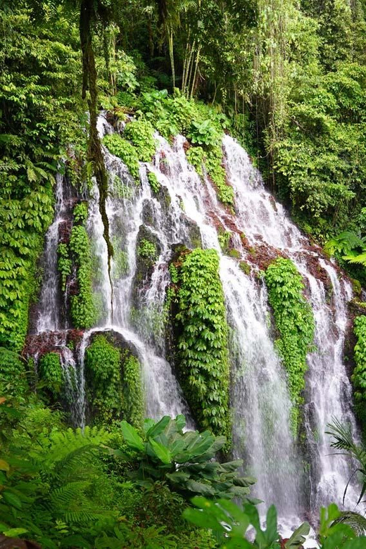 Munduk: Banyu Wana and Sekumpul Waterfall Trekking Tour - Pricing Details
