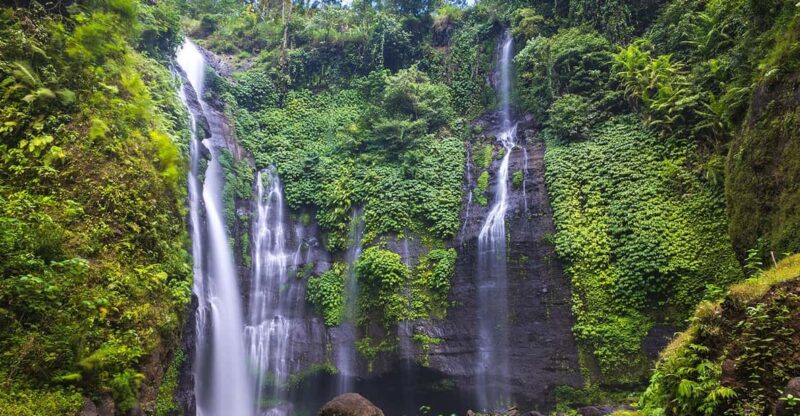 Munduk: Banyu Wana and Sekumpul Waterfall Trekking Tour - Tour Booking Information