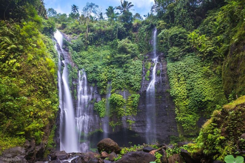 Munduk: Banyu Wana and Sekumpul Waterfall Trekking Tour - Key Points