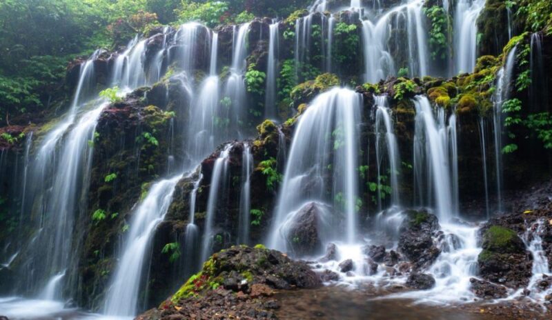 Munduk: Banyu Wana and Sekumpul Waterfall Trekking Tour - Transportation and Inclusions