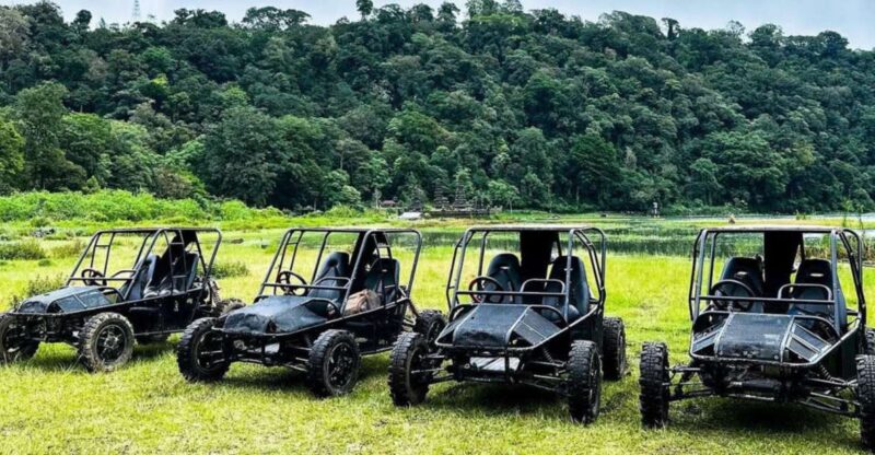 Munduk: Buggy Adventures With Picnic Lunch - Key Points