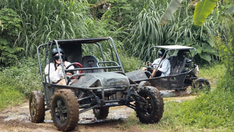 Munduk: Buggy Adventures With Picnic Lunch - Itinerary Details