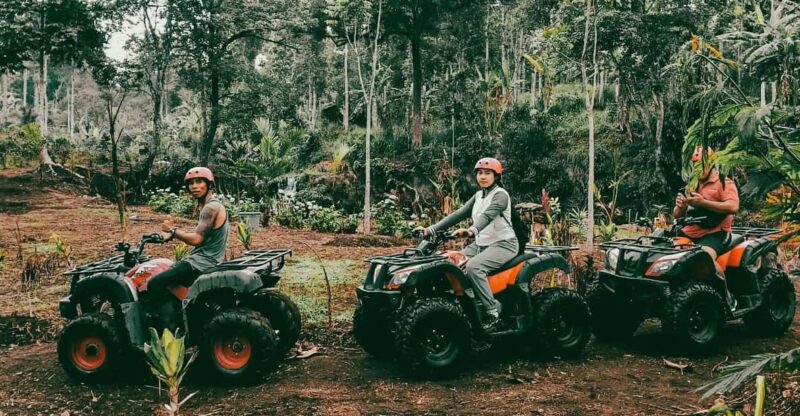 Munduk: Hidden Hill Quad Bike Ride to Banyumala Waterfalls - Scenic Wanagiri Hidden Hill