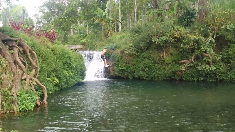 Munduk Hortensia Trek: Coffee Fields, Waterfalls Exploration - Important Information