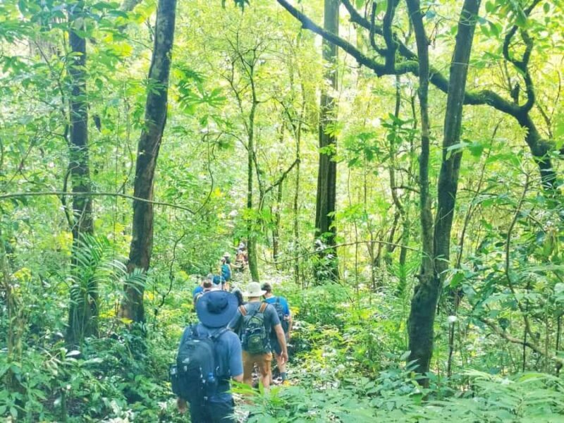 Munduk Jungle Trek & Hidden Waterfalls with Local Guide - Discovering Bali’s Secret Highlands