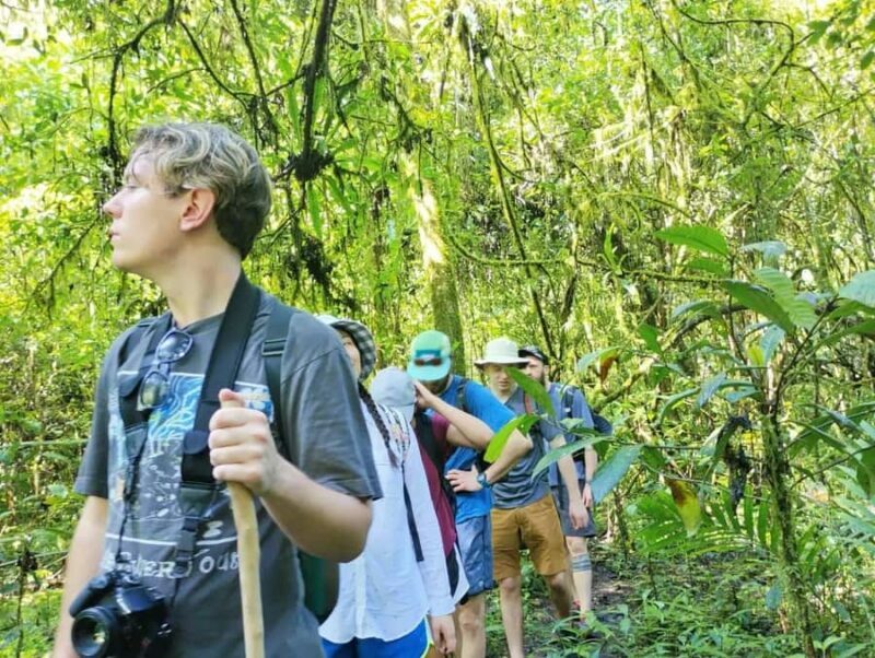 Munduk Jungle Trek & Hidden Waterfalls with Local Guide - Itinerary Breakdown