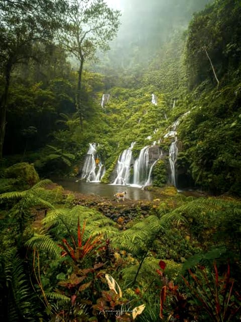 MUNDUK : Jungle Trekking Day Tour - Key Points