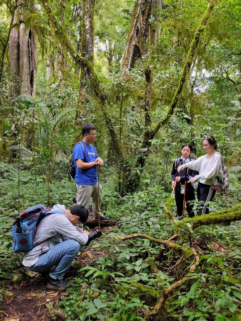 Munduk : Jungle Trekking,Canoeing,Waterfall &Authentic Lunch - Booking and Cancellation Policy