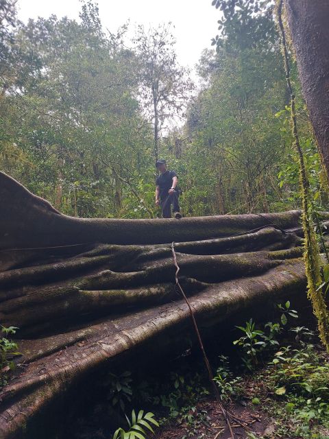 Munduk : Jungle Trekking,Canoeing,Waterfall &Authentic Lunch - Included Experiences