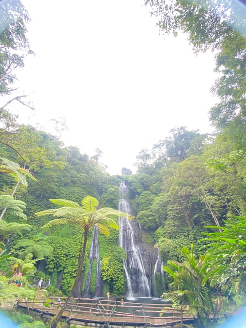 Munduk/Lovina: Banyumala Waterfall Trekking - Trekking Path and Difficulty