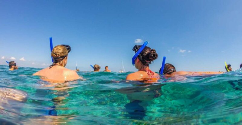 Munduk/Lovina: Waterfall, Snorkeling & Dolphin Watching Tour - Key Points
