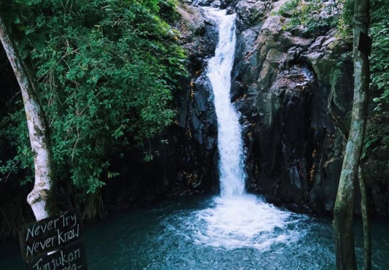 Munduk/Lovina: Waterfall, Snorkeling & Dolphin Watching Tour - Snorkeling and Waterfall Activities