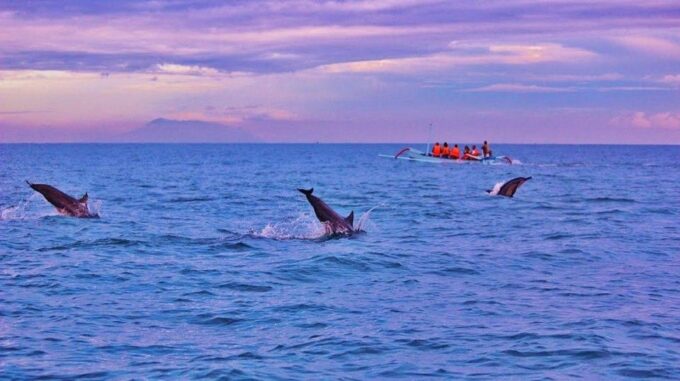Munduk/Lovina: Waterfall, Snorkeling & Dolphin Watching Tour - Tour Inclusions and Add-ons