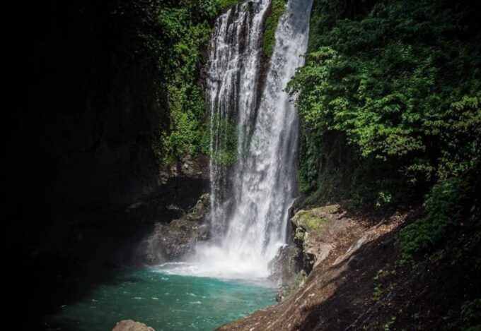 Munduk/Lovina: Waterfall, Snorkeling & Dolphin Watching Tour - Customer Reviews and Booking Info