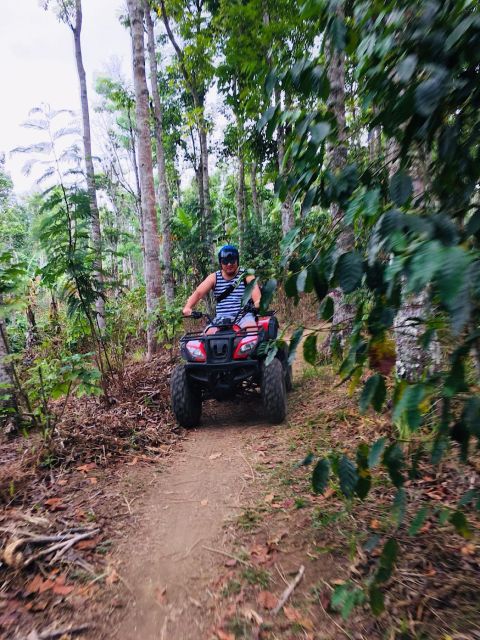 Munduk : Quad Bike Jungle Adventure and Waterfall Trek - Key Points