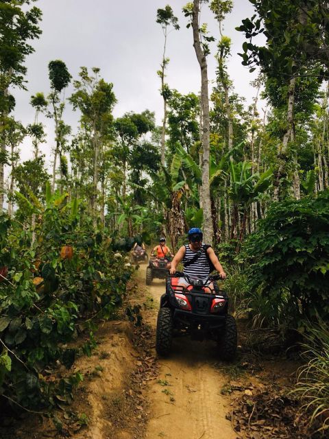 Munduk : Quad Bike Jungle Adventure and Waterfall Trek - Banyumala Twin Waterfall