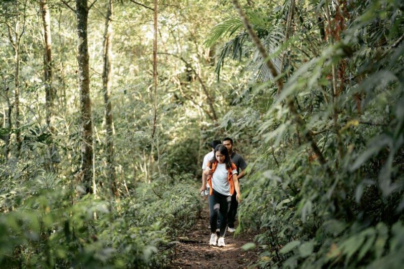 Munduk : Rainforest Tamblingan Lake Trekking & Canoeing - Key Points