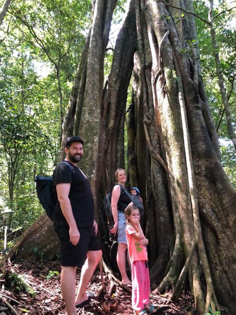 Munduk : Rainforest Trekking, Lake Canoeing & Best Waterfall - Photo Opportunities