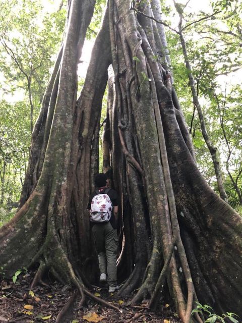 Munduk : Rainforest Trekking, Lake Canoeing & Best Waterfall - Frequently Asked Questions