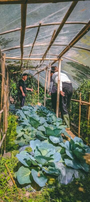 Munduk: Regenerative Roots Permaculture Farm Tour - The Short Trek and Waterfall: Adding a Touch of Adventure