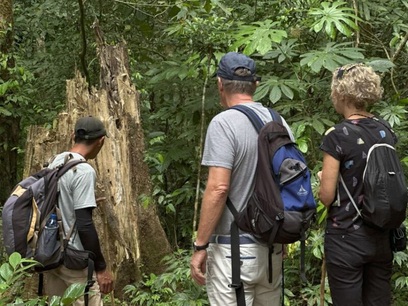 Munduk Sunrise, Jungle Trek, Canoe & Waterfall - Inclusions