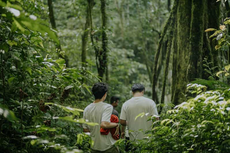 Munduk: Trekking & Canoeing at Mystical Lake Tamblingan - Key Points
