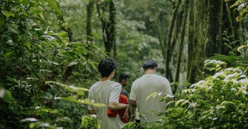 Munduk: Trekking & Canoeing at Mystical Lake Tamblingan - Preparation and Important Information