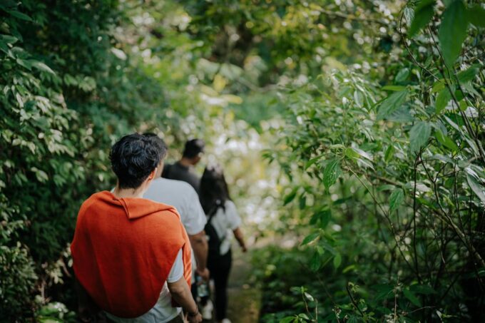 Munduk: Trekking & Canoeing at Mystical Lake Tamblingan - Pickup and Accessibility