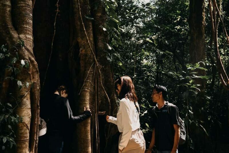 Munduk: Twin Lake Jungle Hike, Ulun Danu Temple, & Waterfall - An In-Depth Review of the Munduk Jungle Hike & Lake Adventure