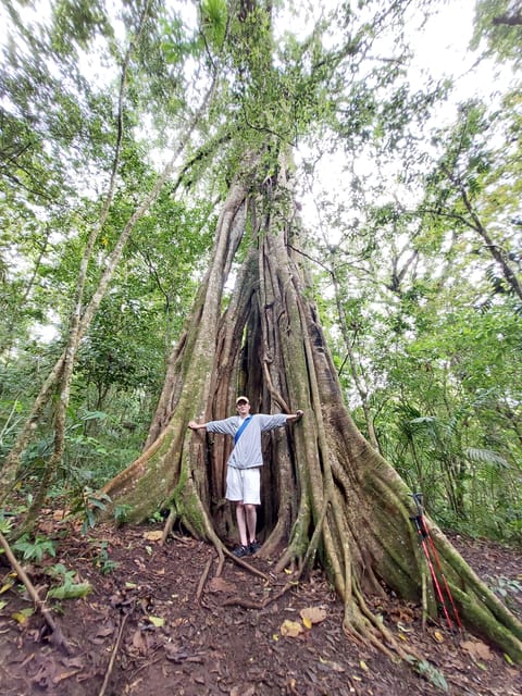 Munduk: Twin Lakes Discovery Temple Trail Expedition - Itinerary and Highlights