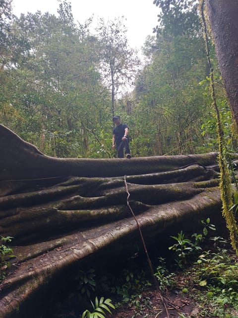 Munduk: Twin Lakes Discovery Temple Trail Expedition - Getting There