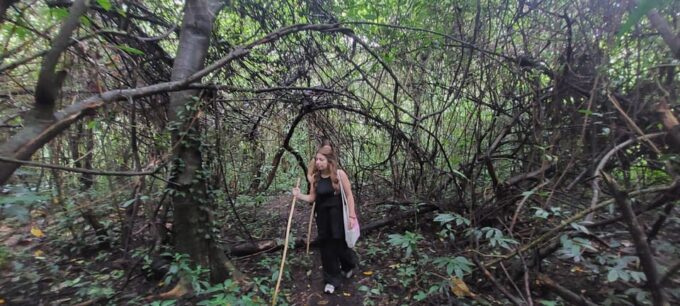 Munduk: Twin Lakes Discovery Temple Trail Expedition - Booking and Pricing