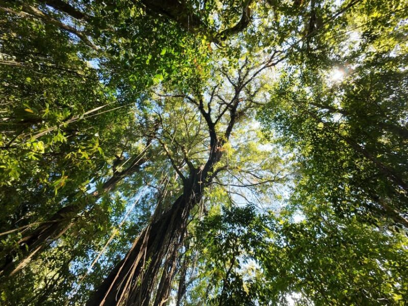 Munduk: Twin Lakes Jungle Hike With Lake Canoe and Waterfall - Inclusions and Exclusions