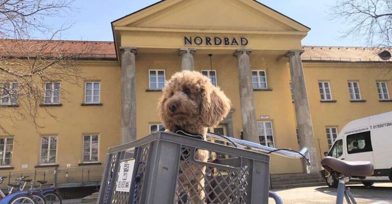 Munich: Bohème Schwabing Self-guided Neighbourhood Walk - Key Points