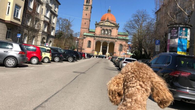 Munich: Bohème Schwabing Self-guided Neighbourhood Walk - Important Information