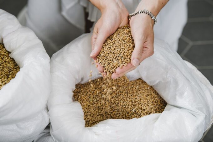 Munich: Brewing Course With Tour and Tasting - Brewery Location