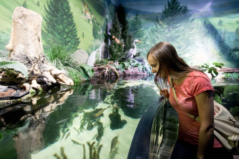 Munich: Day Ticket to Sea Life - Germanys Largest Shark Variety