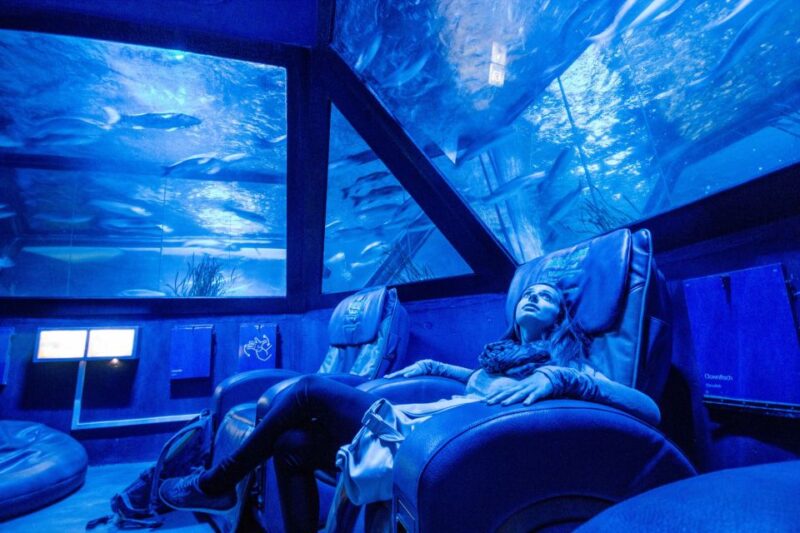 Munich: Day Ticket to Sea Life - Feeding Shows With Experts