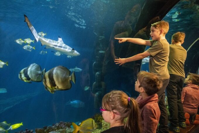 Munich: Day Ticket to Sea Life - Frequently Asked Questions