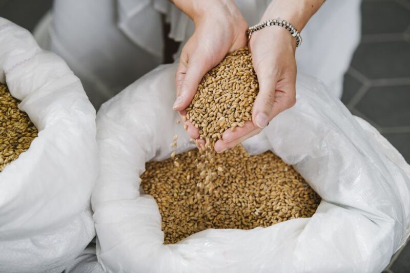 Munich: Exclusive Brewery Tour & Tasting of 4 Organic Beers - Included Features