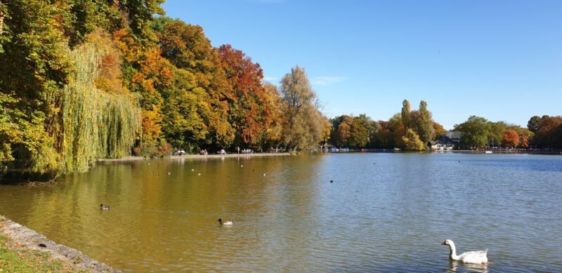 Munich Highlights by Segway 3-Hour Tour - Inclusions