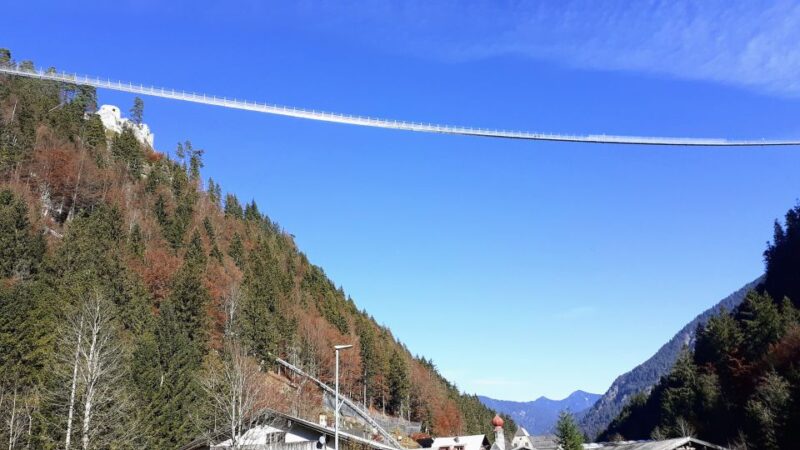 Munich: Neuschwanstein Private Guided Tour Packages - Customer Reviews and Ratings
