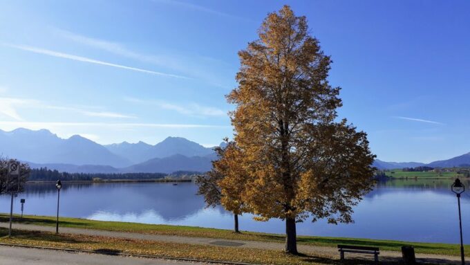 Munich: Neuschwanstein Private Guided Tour Packages - Neuschwanstein Castle Tickets