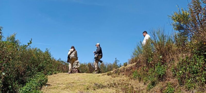Munnar Birding and Bird Photography Trip - Endangered Nilgiri Thars